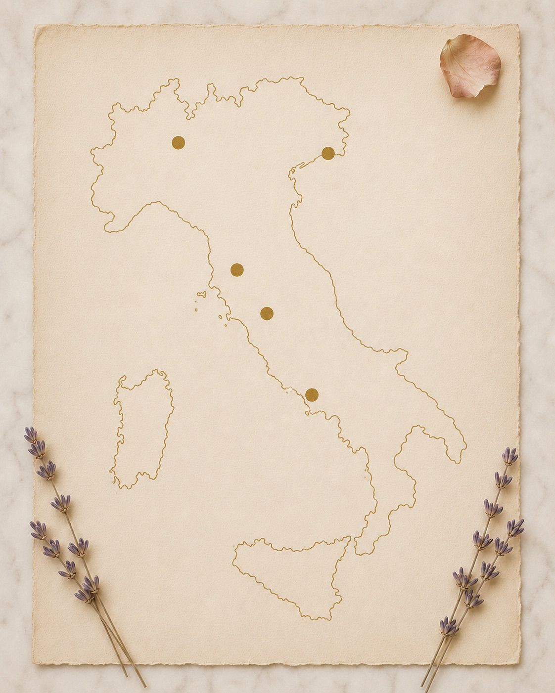 Mapa da Itália desenhado em ouro sobre papel artesanal com lavanda